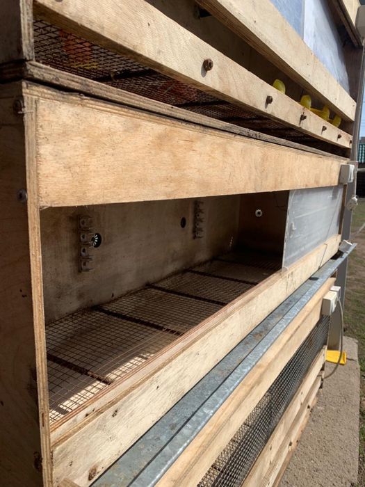 брудер для цыплят