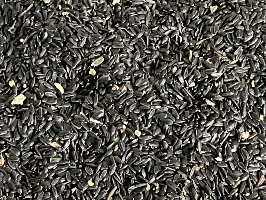 Vand floarea soarelui