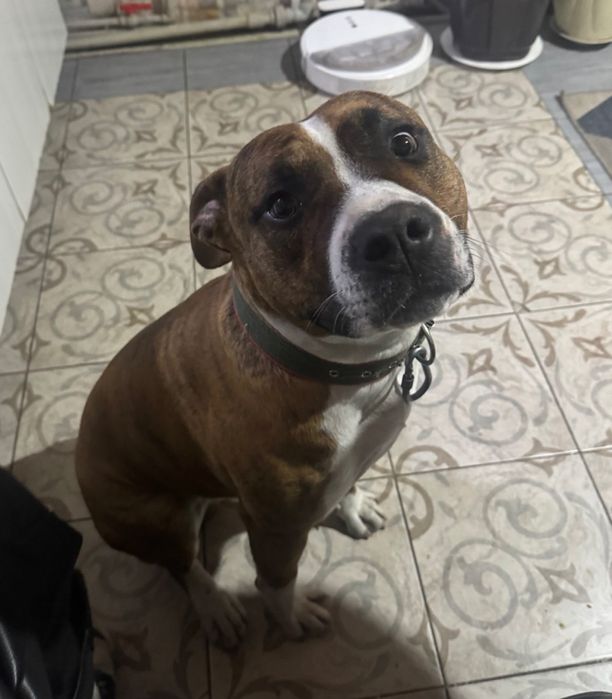 Ищет девочку для хорошего вечера