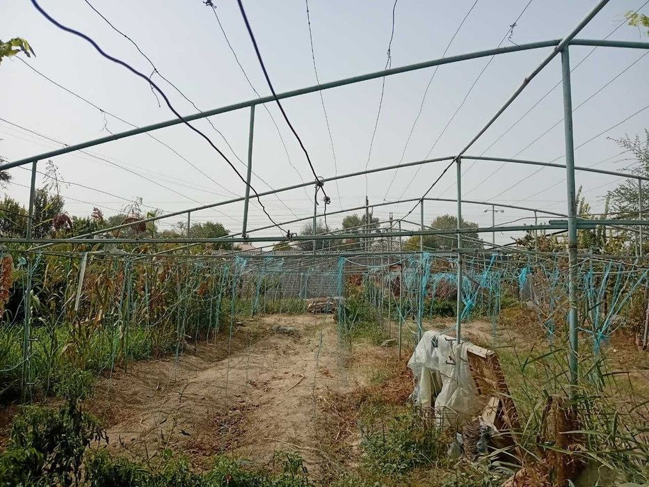 Парник сотилади, симлари билан, 3 сотих.