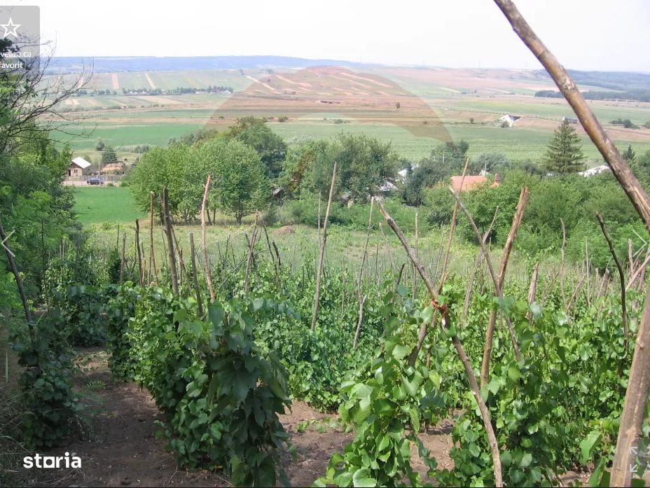 Teren 6,890mp Crasna / Strada Crasna