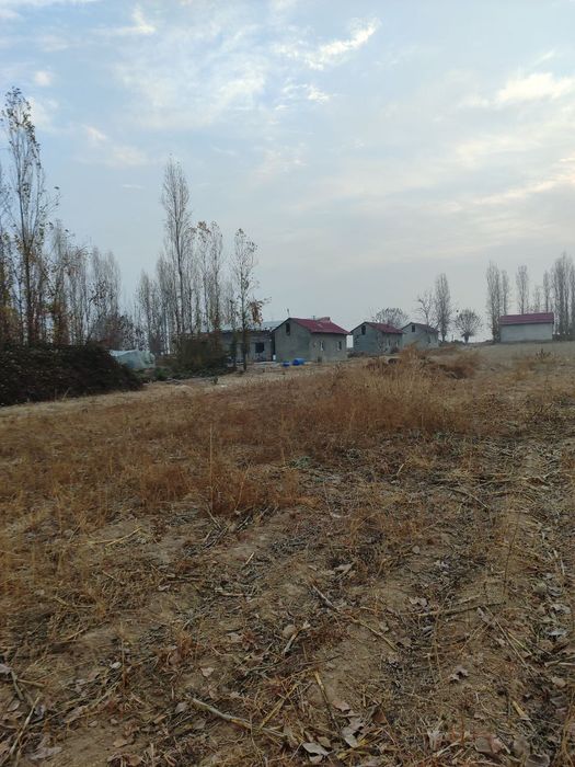 24 sotih yer sotiladi yangiyo'l tumani tumanida