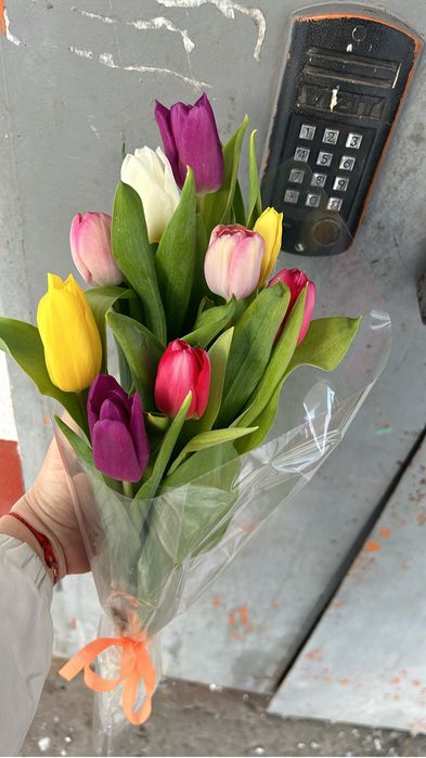 Тюльпаны 700 тенге доставка