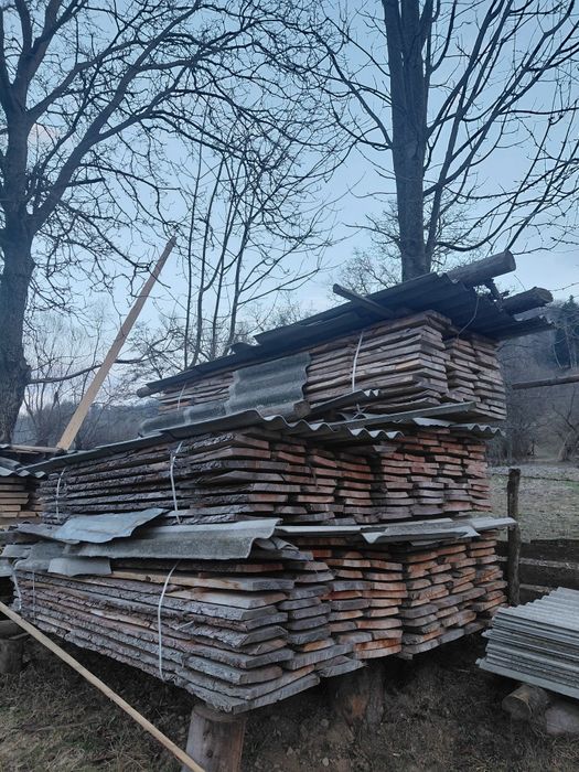 Lambriuri,dublas,postă,paltin,lariță,frasin