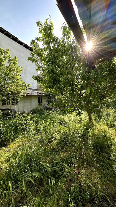 Аутентичный узбекский дом в самом центре Ташкента