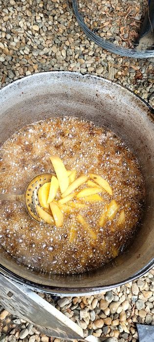 Tudor protap pt evenimentul tău