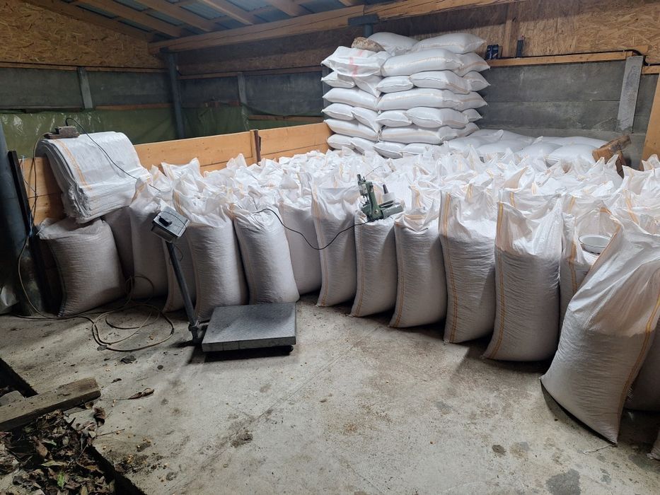 Porumb, Grau ambalat la saci