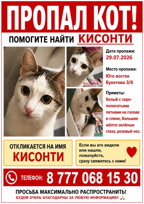 Пропал кот, район Юго-Восток