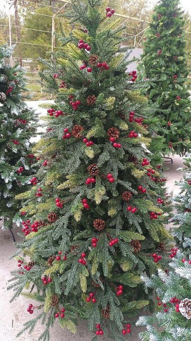 Арча янги-йил учун