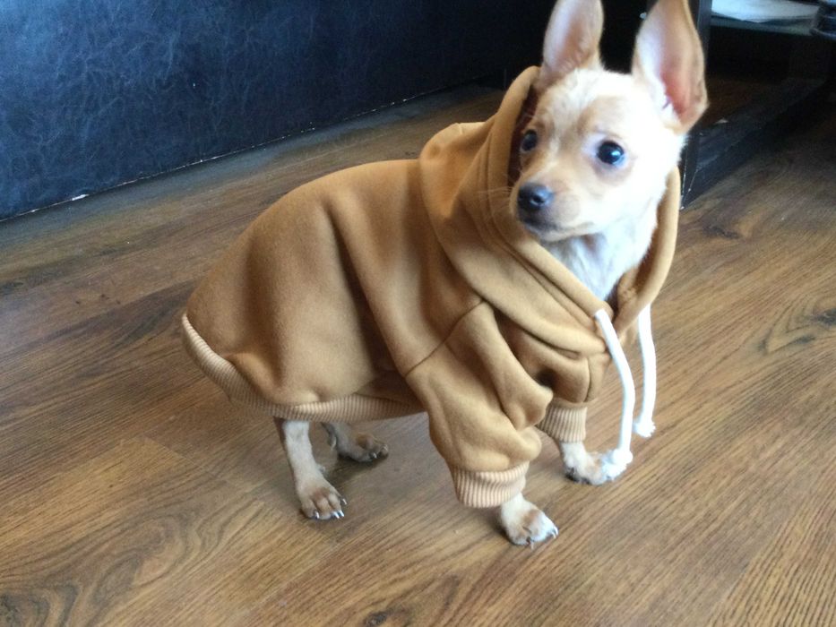 НОВ топъл кафяв суичър за куче от Италия размер S и M