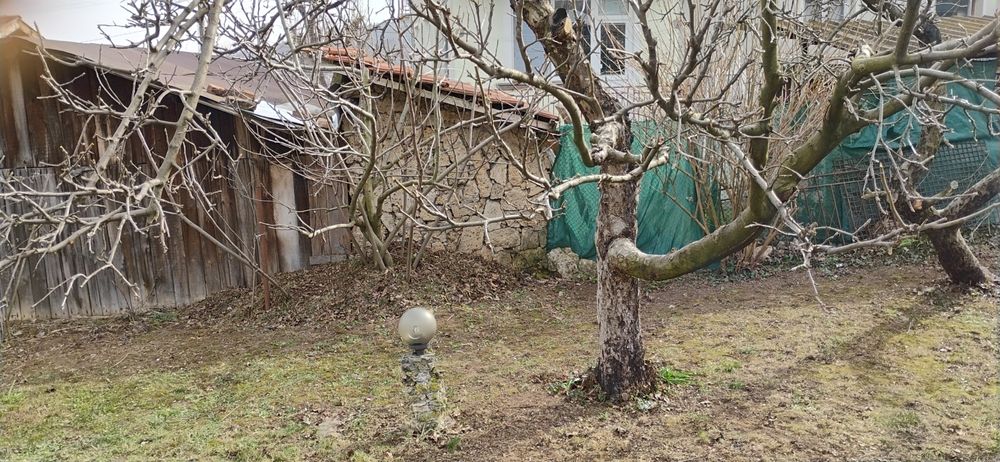 Озеленяване и поддръжка на дворове