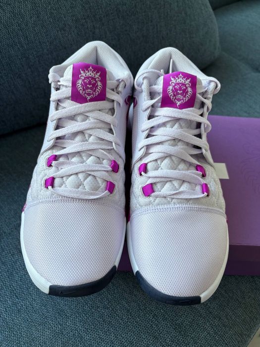 Nike Lebron Witness 8