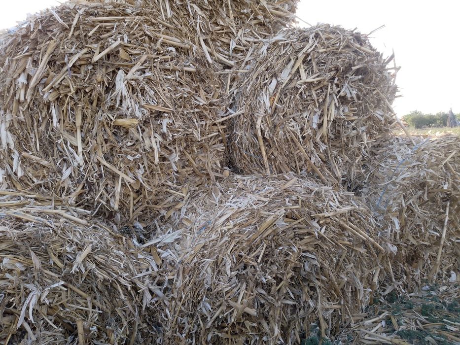 Baloți coceni și trifoi