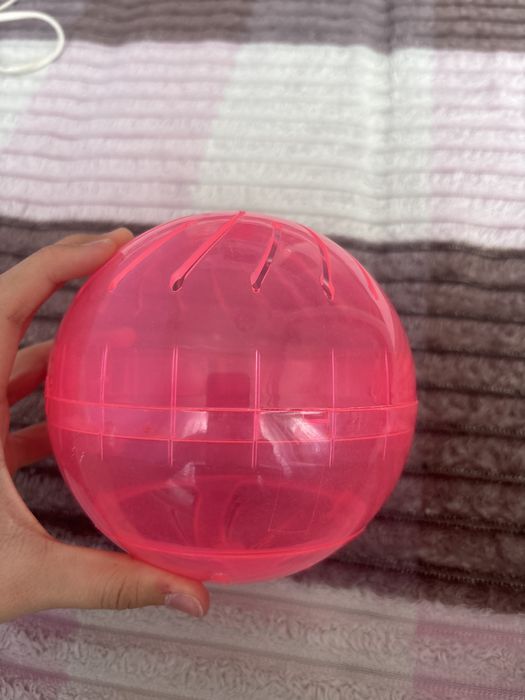 Прогулочный шар для грызунов