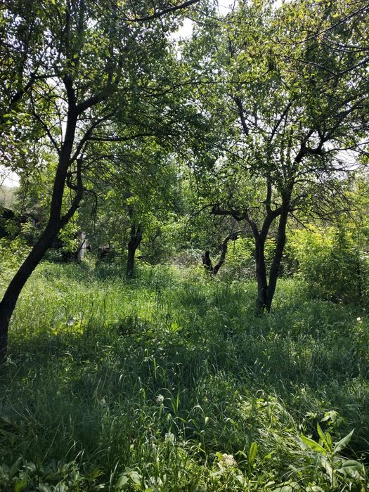 Продам дачу (6 соток)! Долан