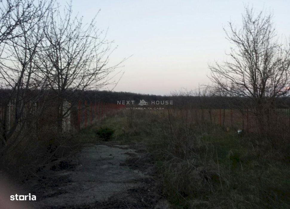 Casa Vacanta Izvorani