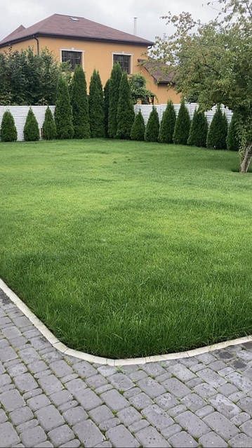 Поссев газона и Клевер