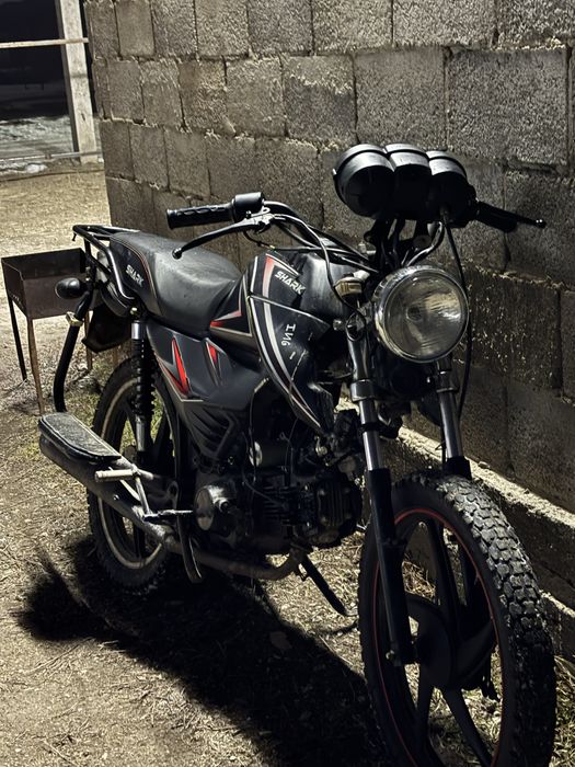 Продам, обменяю альфу шарк