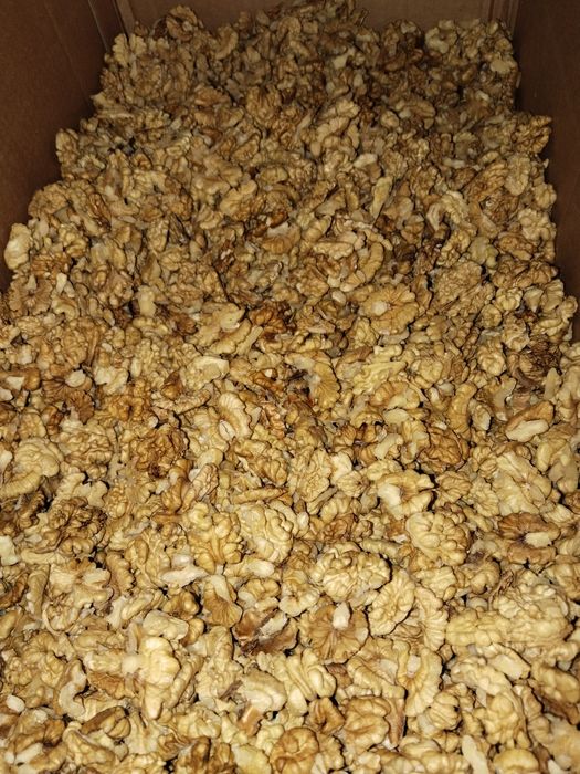 Орех грецкий жангак