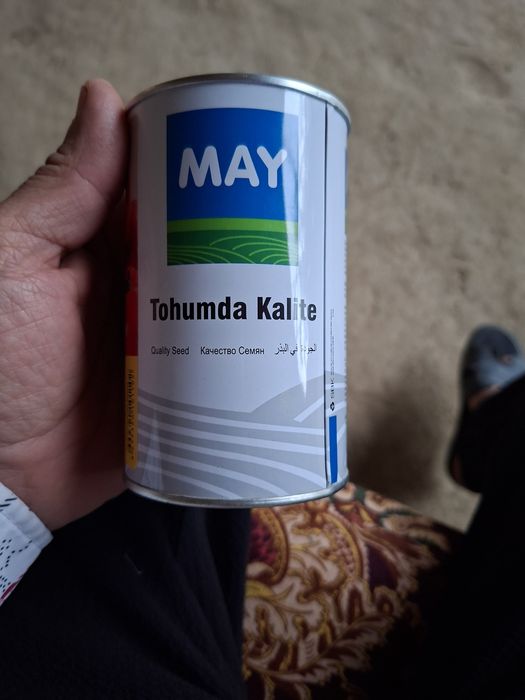 Памидор кучат сот