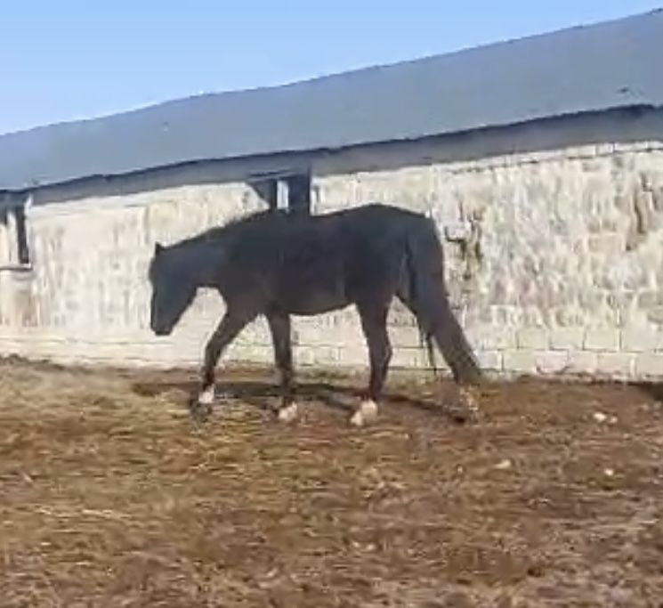 Продам за 450 тыс т