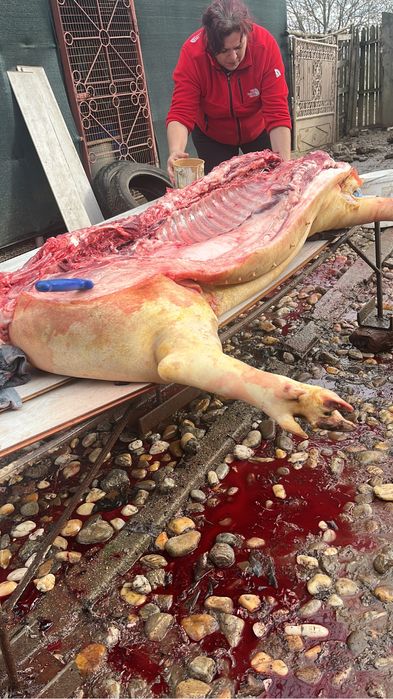 Macelar la domiciliu