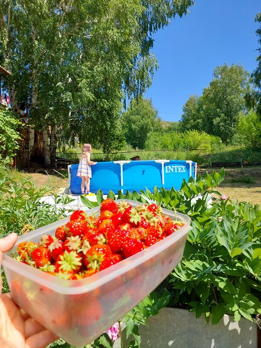 Продам дачу за ГЭС ( с/о Березки)