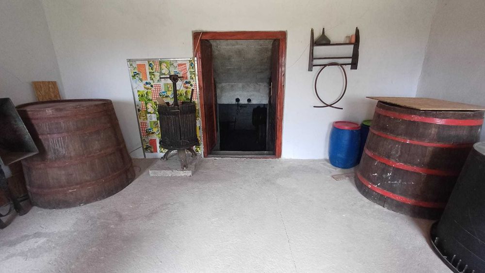 Pivniță cu cramă de vânzare