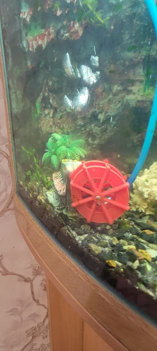 Декор для аквариума