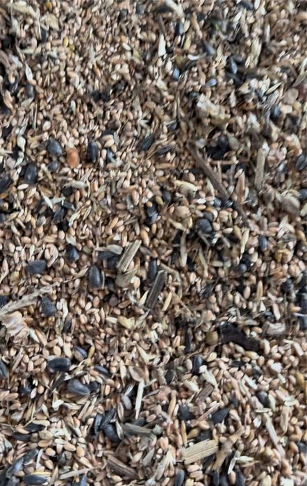 Продам зерноотходы!