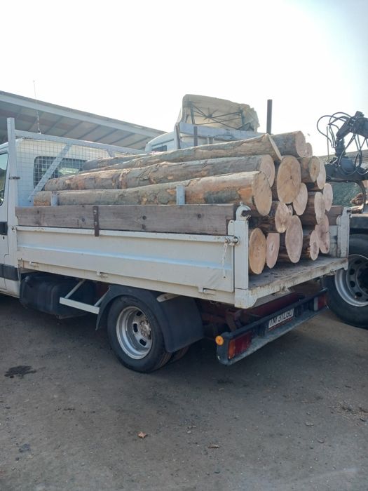 Lemn de esență tare Fag