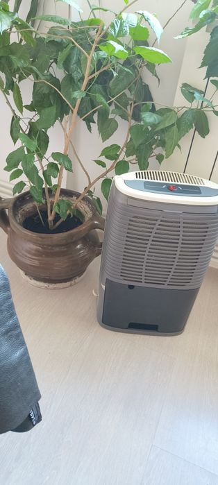 Dezumidificator de casă 10 l