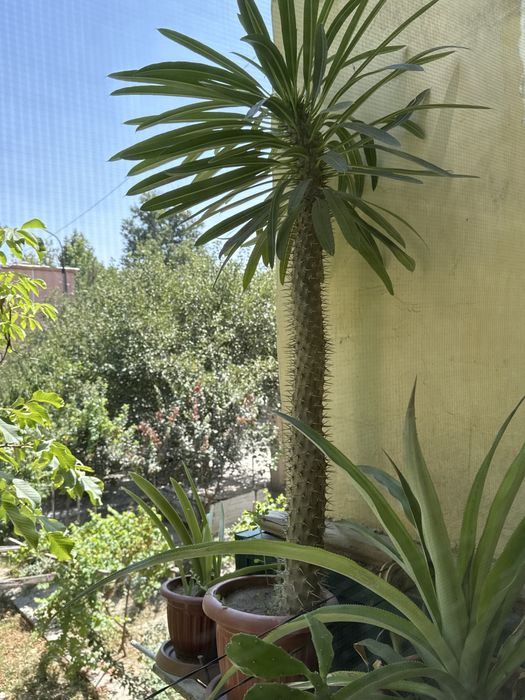 Цветок вырящяный своими руками
