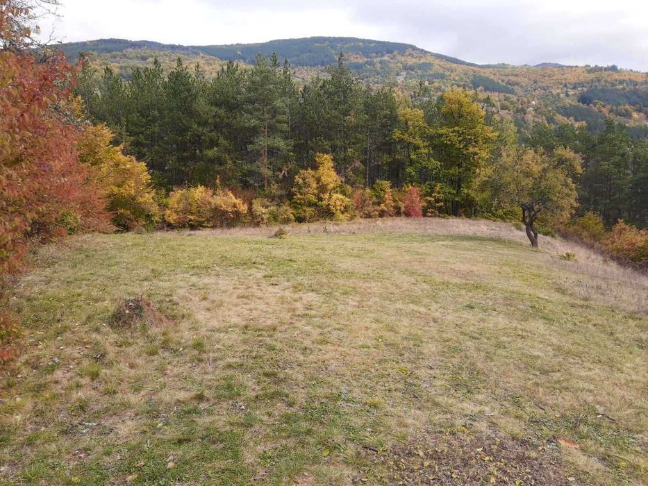 Панорамен парцел – Свидня в.з."Герова леска" ОТ СОБСТВЕНИК