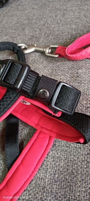 Ham si lesa pentru căței