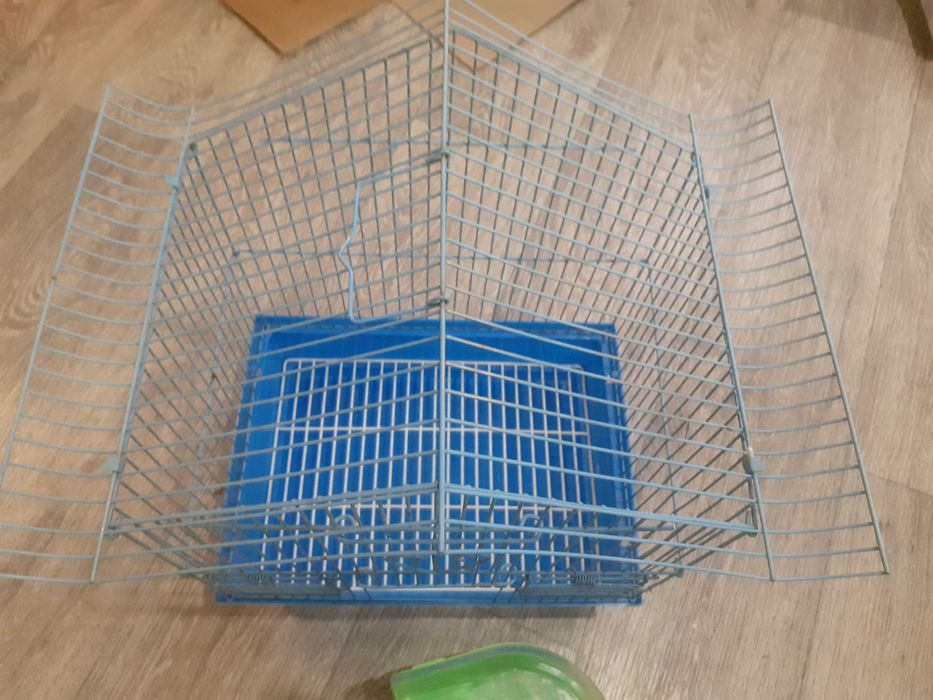 Волнистый попугай с клеткой