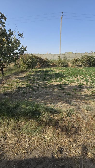 Жондор туман марказидан ер участка сотилади . 7сотик нархи 18000$ кели