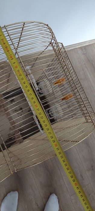 Vând colivie   80/60/33