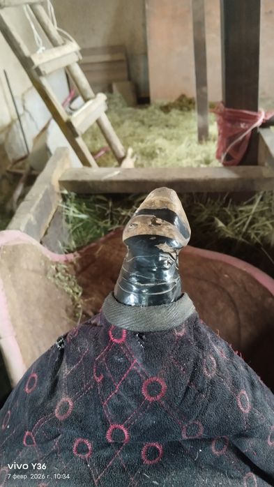 Қазақы ер минус басы сәл қисық болды