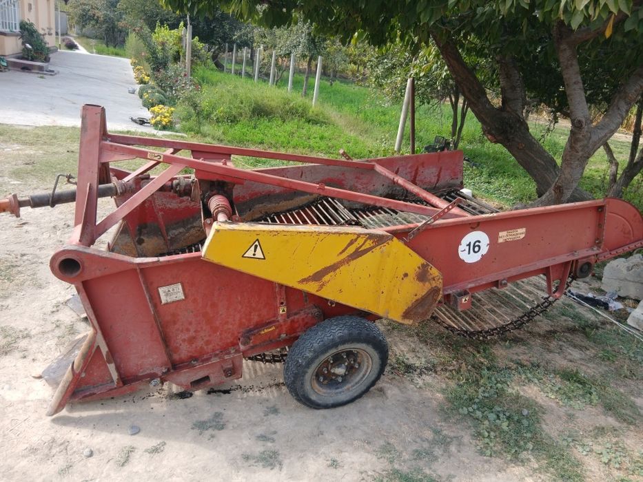 Kartushka kapalka yili 2014