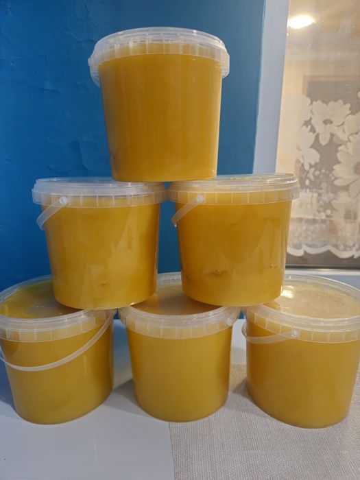 Продам свежий мед 2025