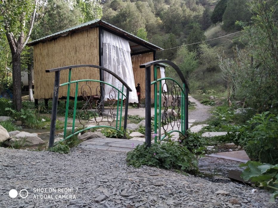 Zomin togʻlarida dam oling