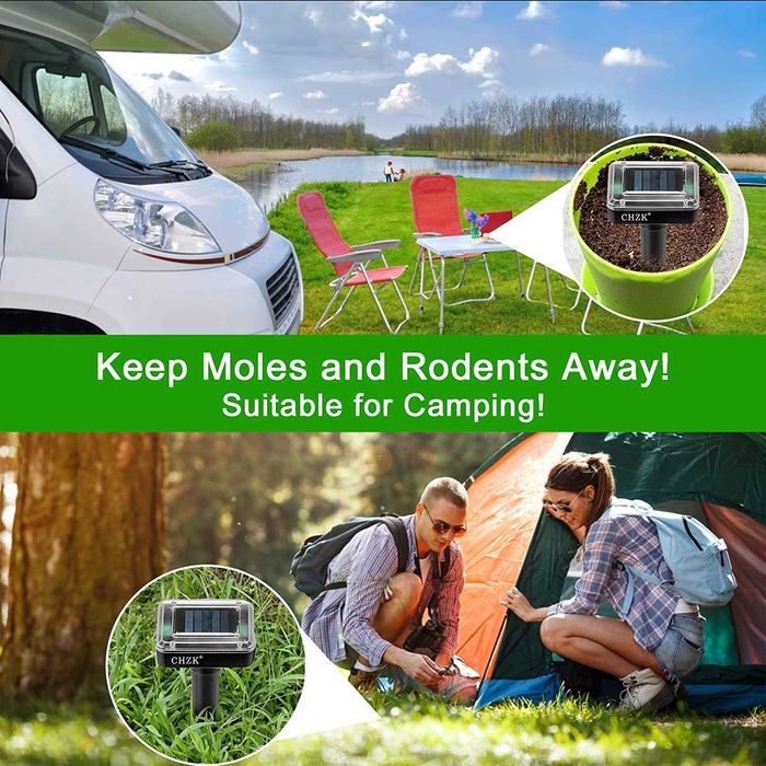 4 Уреда против змии, Къртици и Сляпо куче