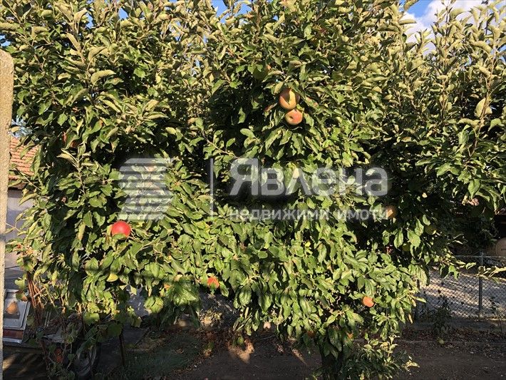 Продава се Къща в с. Видно, Област Добрич - 150 кв.м за 400 €/кв.м - Снимка #6