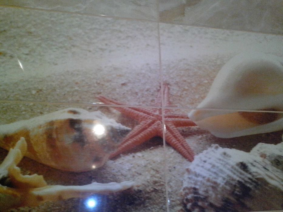 Однушка на Аль-фараби. Сдам