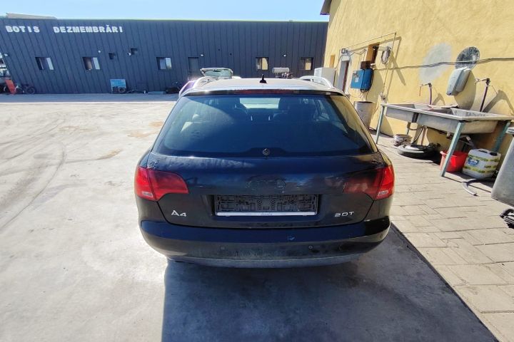 Clapeta acceleratie Audi A4 B7