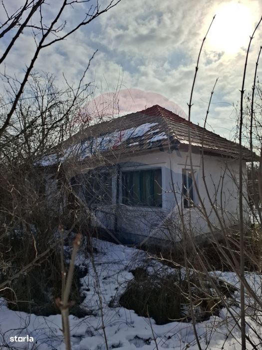 Casă cu teren 2.596 mp | Deschidere la drum asfaltat | Dridu, Ialomița