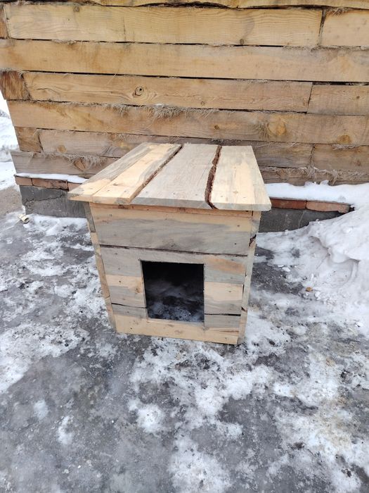 Срочно не дорого