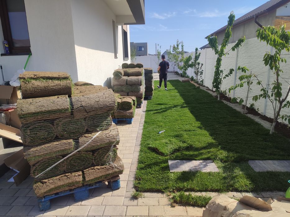 Gazon rulou sport 24 de lei m2. Transport și montaj inclus în preț.