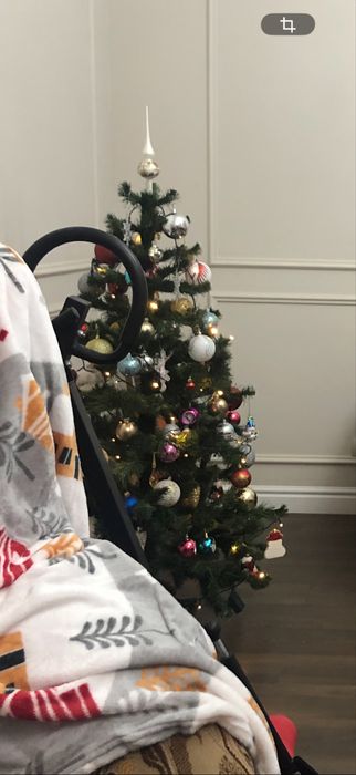 Елка ёлка польская. Красивая.